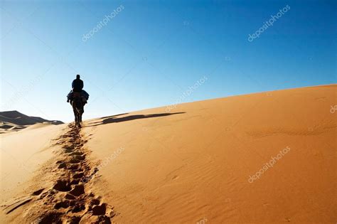 Man Walking Through Desert Dunes — Stock Photo © Laindiapiaroa 19416865