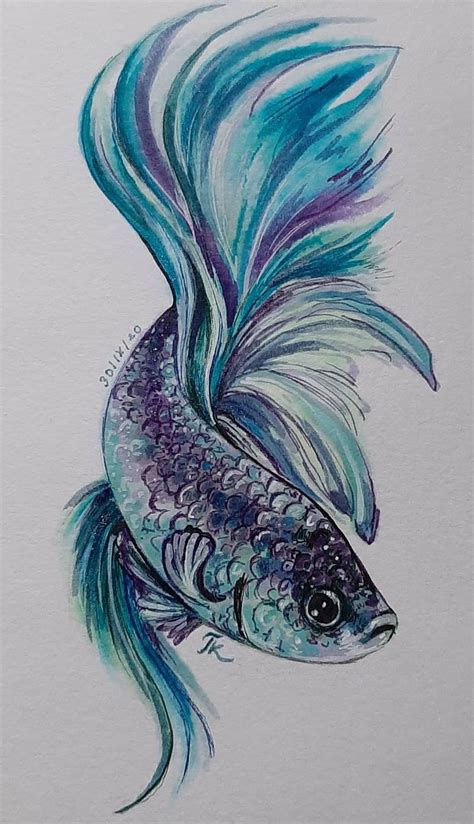 How To Draw A Fish · Sketch A Day