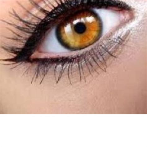 Natural Eyeshadow Honey Eyes Color Makeup Looks For Brown Eyes Eye
