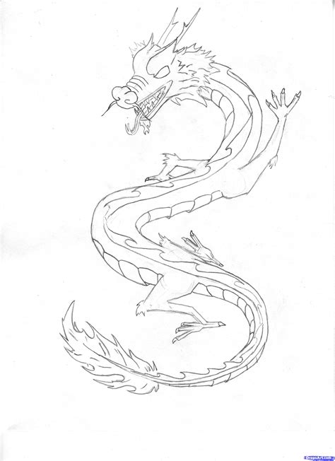 Chinese Dragon Drawing
