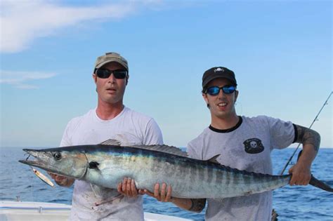 Wahoo | Official fishing charters of Miami | MiamiFishing ...