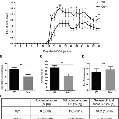 Cortactin Deficiency Reduces The Severity Of Mog 35 55 Induced Eae A