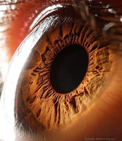 14 macrofotografias incríveis do olho humano