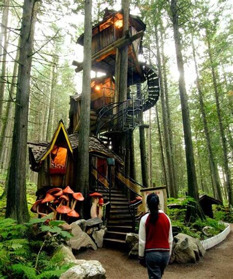 39 Amazing Tree Houses Everyone Wished They Had Growing Up