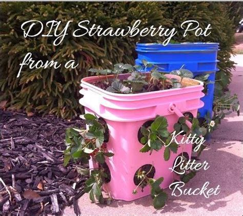 40 Simple But Beautiful Bucket Gardening Ideas Strawberry Pots