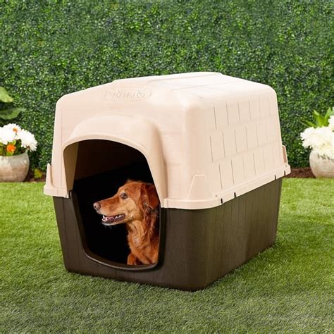 Aspen Pet Petbarn 3 Plastic Dog House 50 90 Lbs