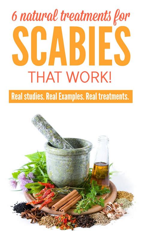 The Best Natural Scabies Treatment Today You Can Make It At Home
