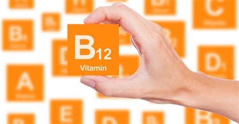 Everything You Need To Know About Vitamin B12 Women Daily Magazine