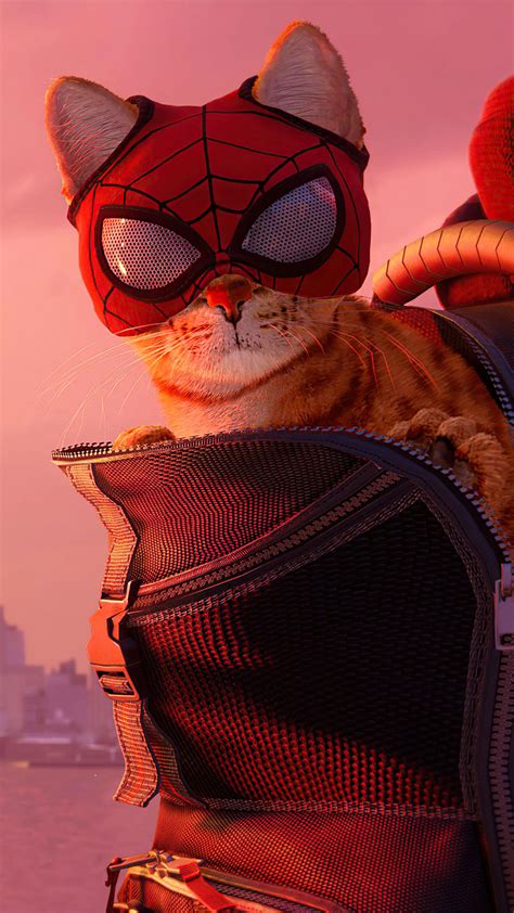 Spider Cat Spider Man Miles Morales 2021 Game 4k Ultra Hd Mobile Wallpaper