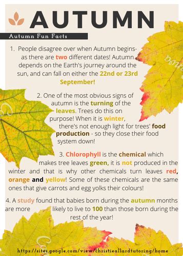 Autumn Comprehension Facts And Questions Teaching Resources