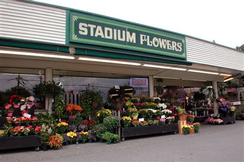 The 2020 season was the seattle seahawks' 45th in the national football league and their 11th season under head coach pete carroll.with a win over the washington football team in week 15, the seahawks made the playoffs for the third consecutive year. Stadium Flowers - Company Information - Lynnwood & Everett ...