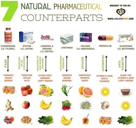 7 Natural Pharmaceutical Counterparts Holistic Remedies Natural Health