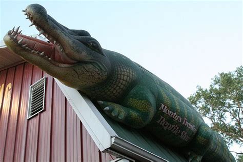 Montys Traveling Reptile Show By Anglerove Via Flickr Roadside