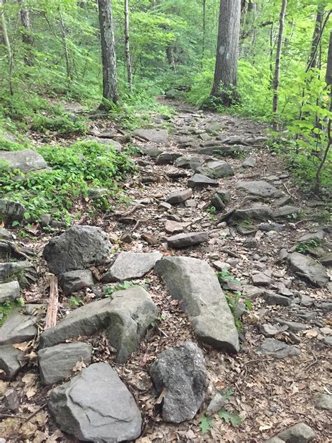 The Best Mountain Bike Trails In The Northeast City By City Page 11