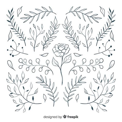 Free Vector Floral Hand Drawn Ornament Collection