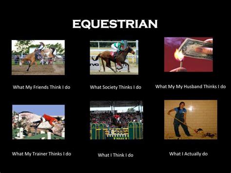 Can I Get A Longe Lesson Please Essential Equestrian