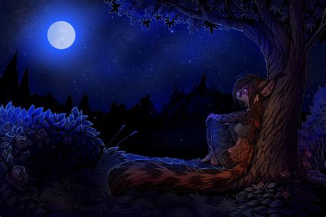 Furry Night Hd Wallpapers Desktop And Mobile Images And Photos