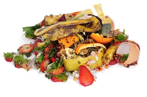 Food Waste Is an Environmental Problem | At the Edge | US News