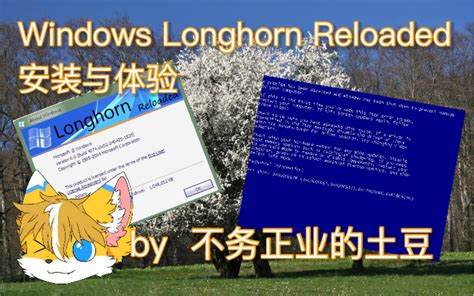 【土豆】 Windows Longhorn Reloaded安装与体验！神秘的lhr体验究竟如何？哔哩哔哩bilibili