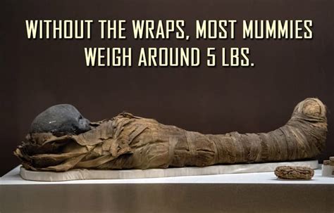 The World Of Ancient Mummies 15 Fascinating Quizzclub