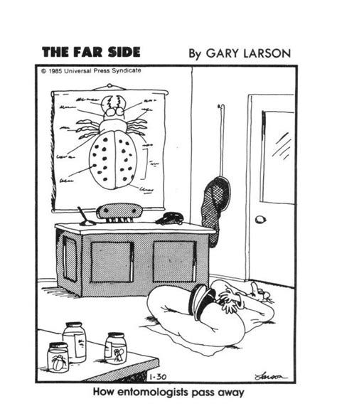 The Far Side Comic Strips