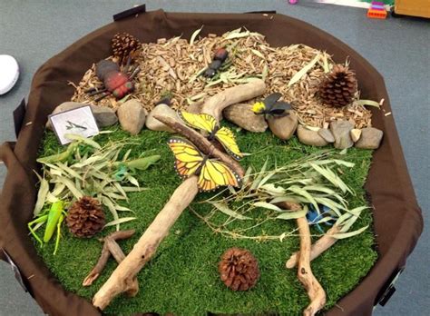 An Arrangement Of Rocks Wood And Grass In A Bowl With Pine Cones On Top
