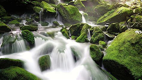 Water Stream Between Green Algae Covered Rock 4k Hd Nature Wallpapers