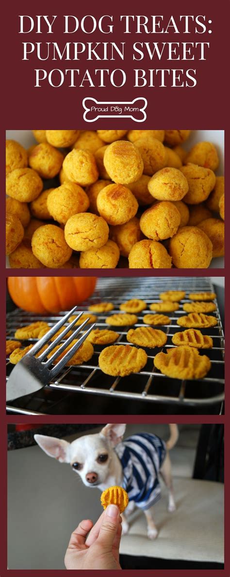 Diy Dog Treats Pumpkin Sweet Potato Bites Perfect For Thanksgiving