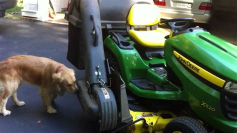 Maybe you would like to learn more about one of these? John Deere X520 Garden Tractor - YouTube