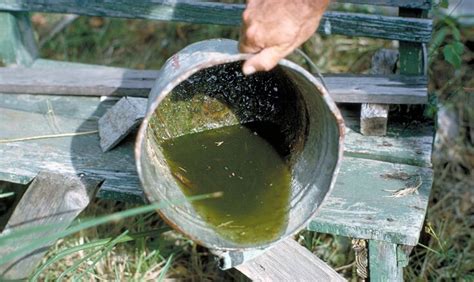 In this method, all you need to do is add a sponge in your catch tray. How to Keep Mosquitoes Away: 9 Natural Ways to Get Rid of ...