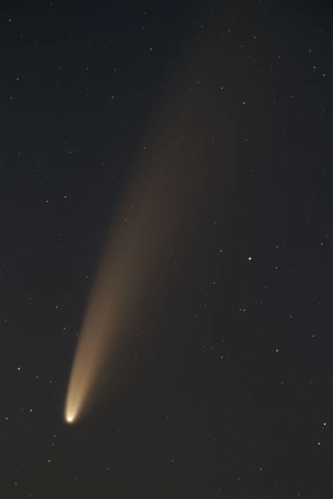 Cometa C2020 F3 Neowise Closeup
