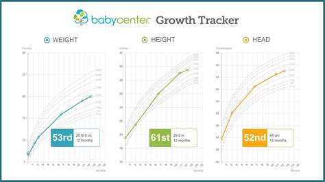 Enter Your Childs Measurements And Well Show You With Percentile