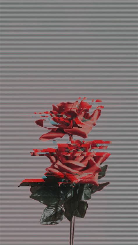 Red Rose With Glitch Effect Free Photo Rawpixel