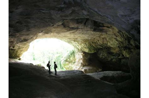 New Dating Of Neanderthal Remains From Vindija Cave Finds Them Older