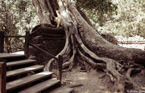 Get instant access to a free live streaming chart of the ta south east asia equity fund fund. Backpacking Across South East Asia -Ta Prohm, Angkor ...