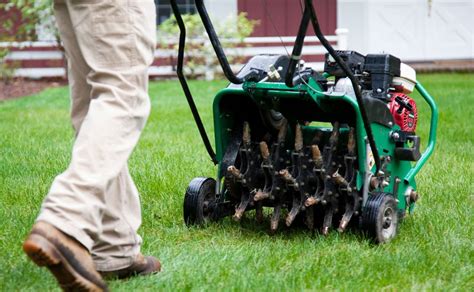 Should I Aerate My Lawn In The Fall Aeration Weed A Way Lawn Care