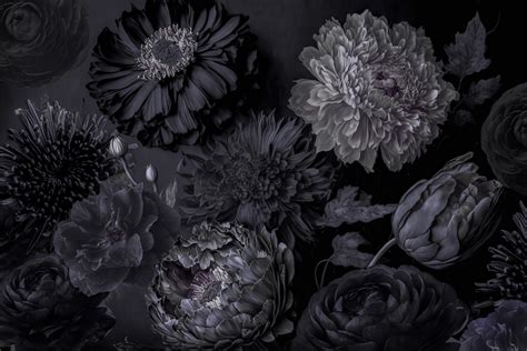Dark Grey Moody Flowers Wallpaper Buy Online Happywall