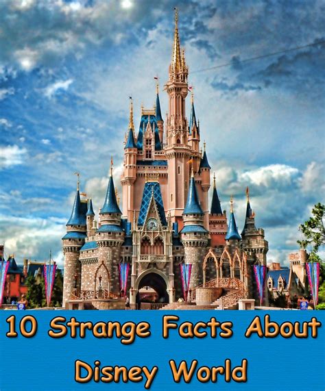 Quiet Corner10 Strange Facts About Disney World Quiet