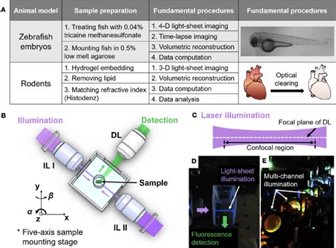 Conceptual research doesn't involve conducting any practical experiments. Fundamental concept of the light-sheet imaging strategy ...