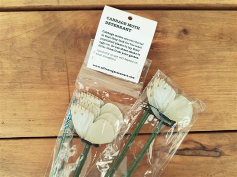 Maybe you would like to learn more about one of these? Cabbage Moth Deterrent - Perth, WA - Online Garden Centre