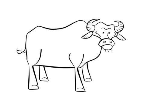 Choose from our diverse categories like cartoon coloring pages, disney coloring pages to animal coloring. Coloring Pages Buffalo - Coloring Home