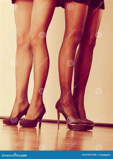 gambe lunghe delle belle donne immagine stock immagine di signore elegante 81351363