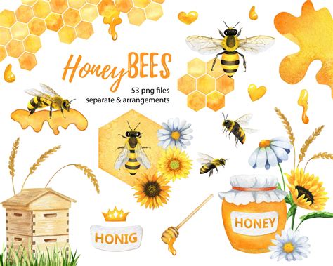 Honey Bee Watercolor Clipart Honeybee Png Honeycomb Etsy