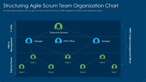 Organizational Structure In Scrum Structuring Agile Scrum Team