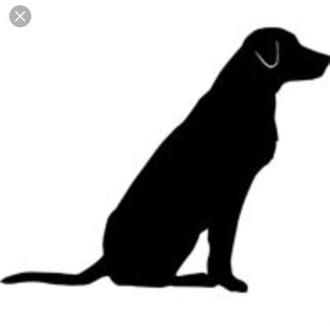 Labrador Retriever Chocolate Labrador Retriever Negro Retriever Puppy