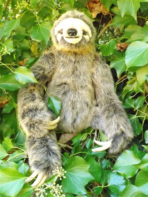 Large Stuffed Animal Sloth 24 Realistic Looking Sloth Plush Toy