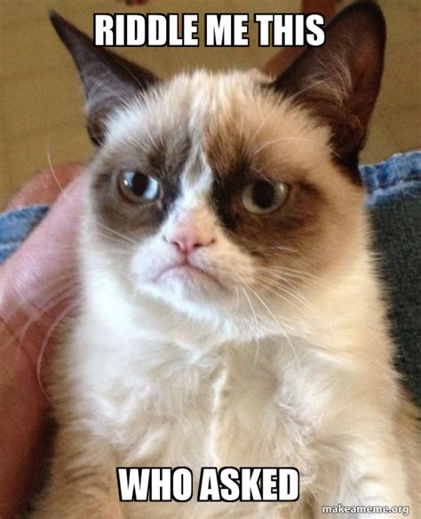 Riddle Me This Who Asked Grumpy Cat Make A Meme