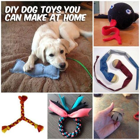 37 Homemade Dog Toys Made By Diy Pet Owners Diy Dog Toys Diy Dog