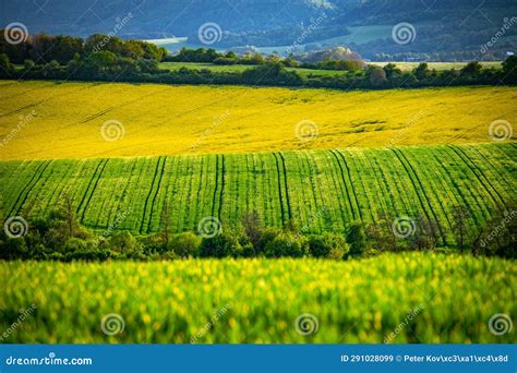 In Full Bloom: Spring S Splendor in the Beautiful Agricultural
