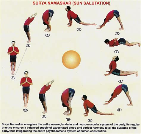 13 Yoga Poses Sun Salutation Yoga Poses